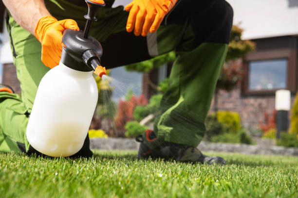 Pest Control Cost in Gananda, NY