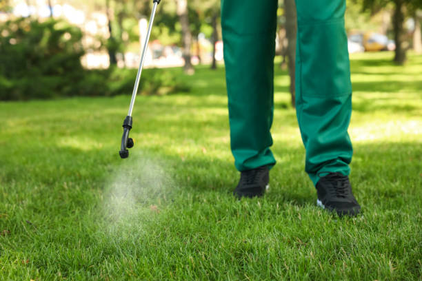 Best Mosquito Control Services  in Gananda, NY