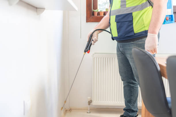 Best Wasp Removal Services  in Gananda, NY