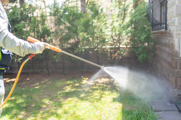 Professional Pest Control in Gananda, NY